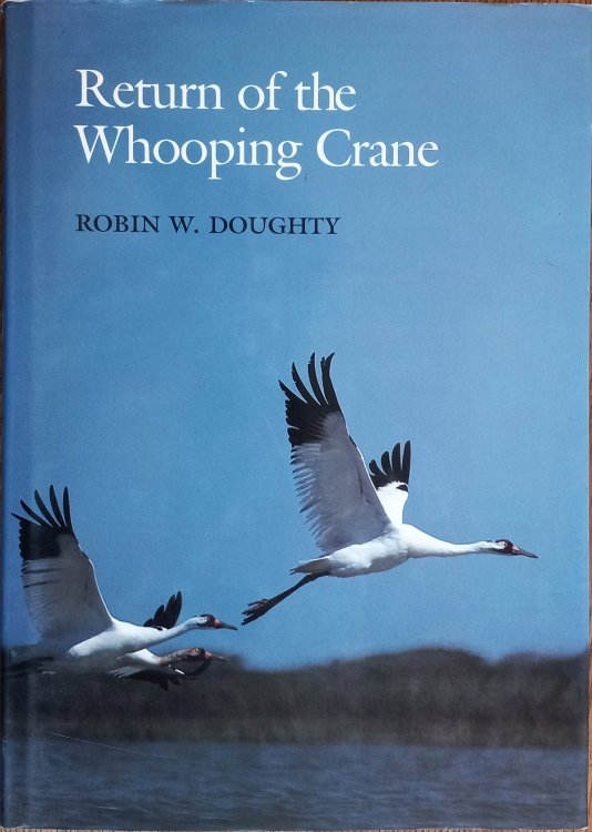 Return of the Whooping Crane