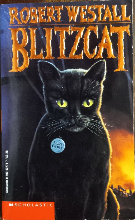 Blitzcat