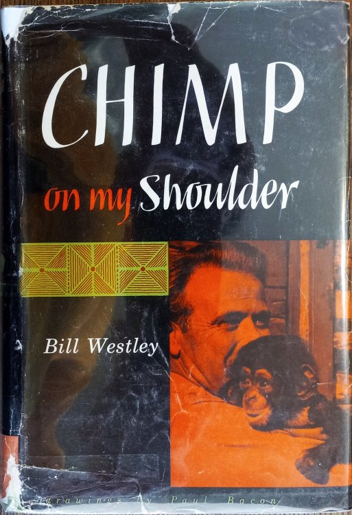 Chimp on My Shoulder