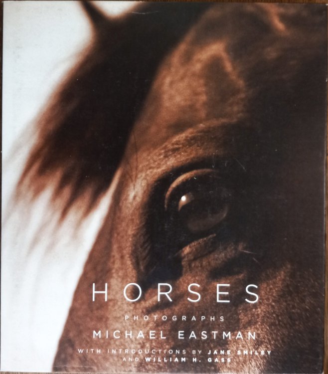 Horses - Photographs