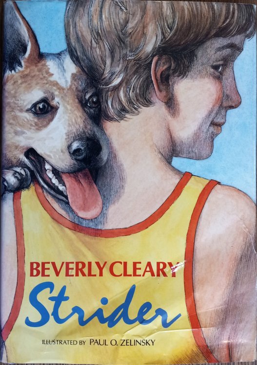 Strider