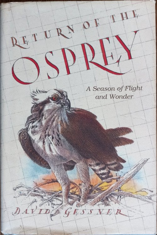 Return of the Osprey : A Season of Flight and Wonder