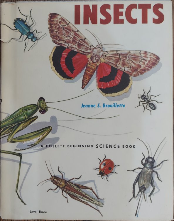Insects : A Follett Beginning Science Book