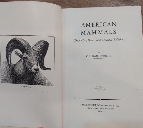 American Mammals :Their Lives, Habits, and Economic Relations