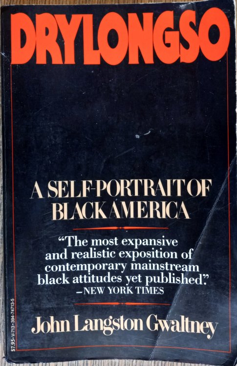 Drylongso: A Self-Portrait of Black America (Vintage V-713)