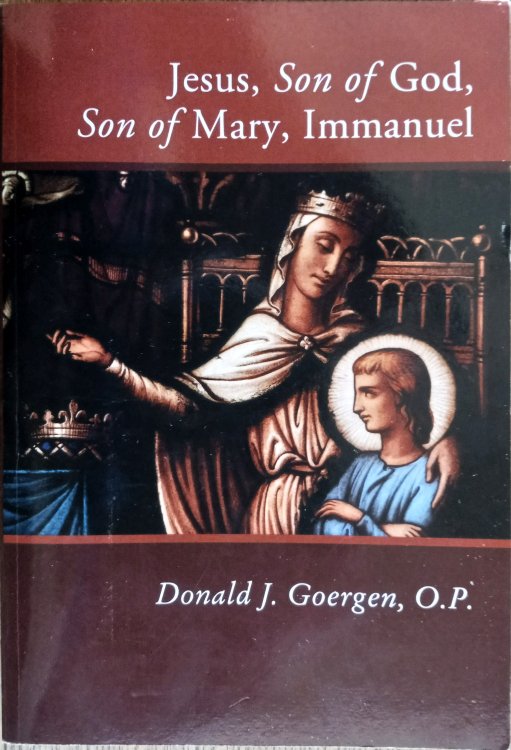 Jesus, Son of God, Son of Mary, Immanuel (A Theology of Jesus, Volume 4)