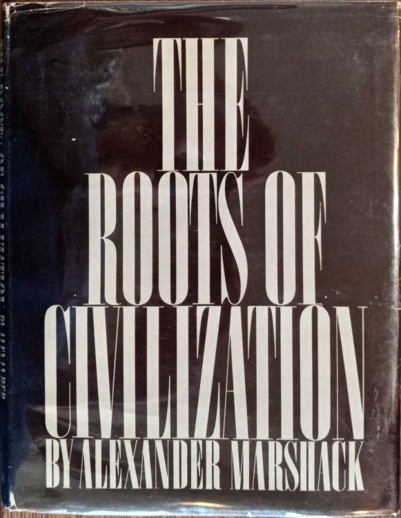 The Roots of Civilization: The Cognitive Beginnings of Man's First Art, Symbol and Notation