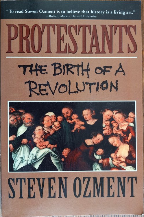 Protestants: The Birth of a Revolution