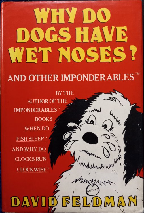 Why Do Dogs Have Wet Noses