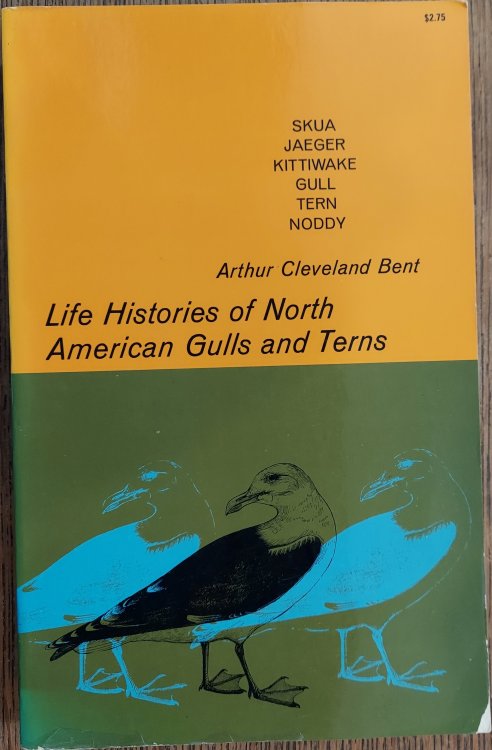 Life Histories of North American Gulls and Terns
