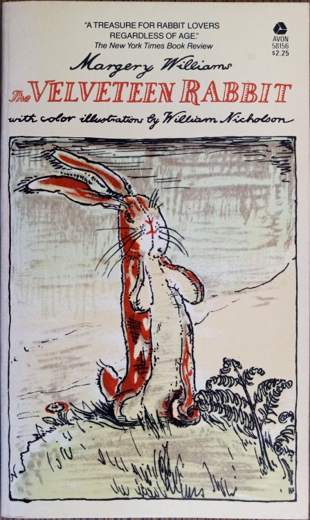 The Velveteen Rabbit or How Toys Become Real