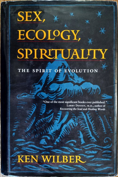 Sex, Ecology, Spirituality: The Spirit of Evolution