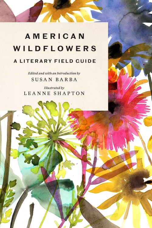 American Wildflowers : A Literary Field Guide