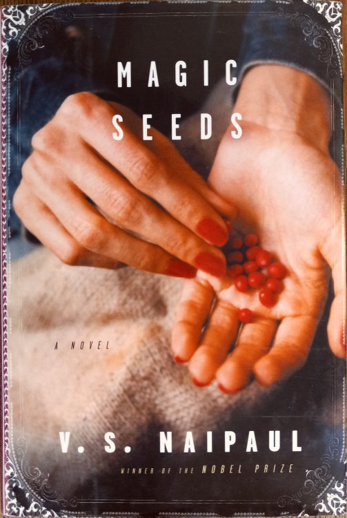 Magic Seeds