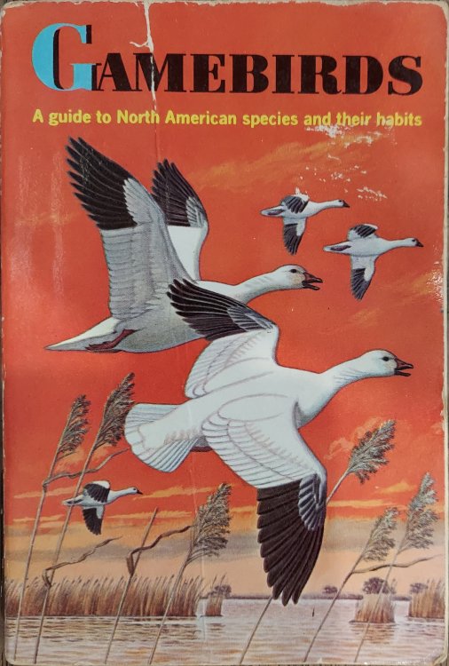 Gamebirds (Golden Nature Guide)