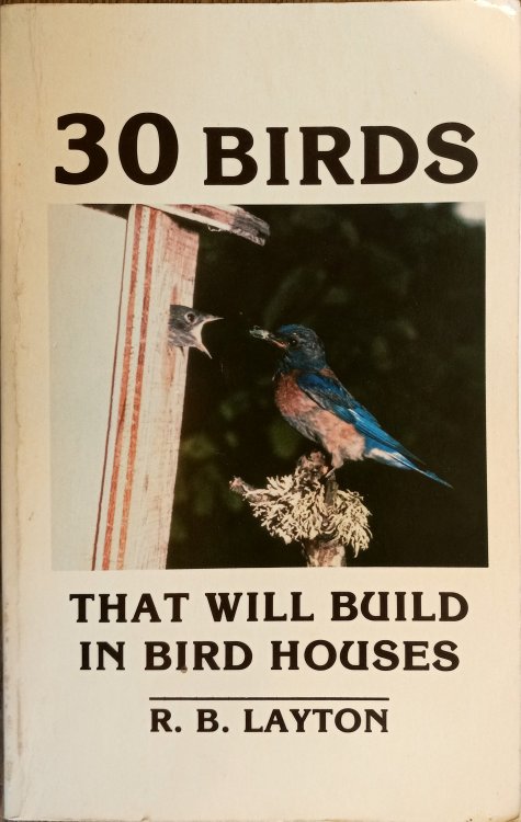 30 Birds That Will Build in Bird Houses