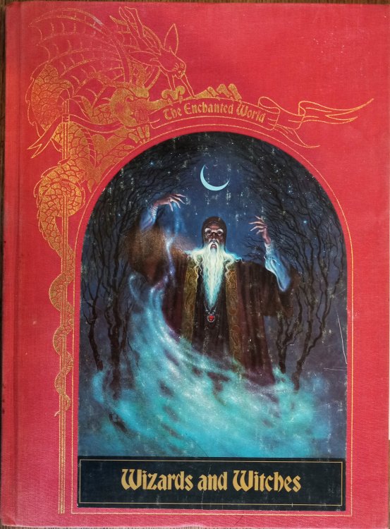 Wizards and Witches (The Enchanted World )