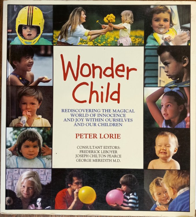 Wonder Child: Rediscovering the Magical World of Innocence and Joy Within Ourselves and Our Children