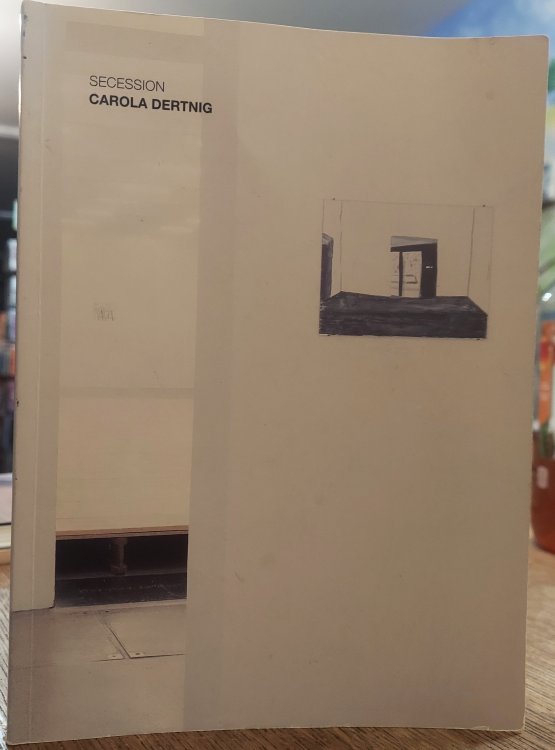 Carola Dertnig - Equivok : 1.5.-20.6.2004, Secession
