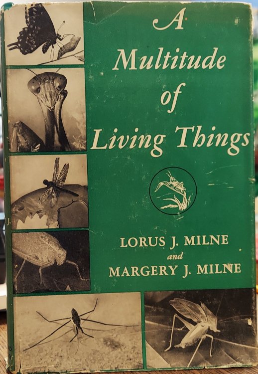 A Multitude of Living Things