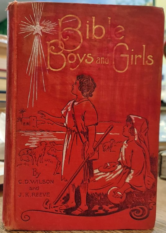 Bible Boys And Girls :How They Looked, Where They Lived, and What They Did