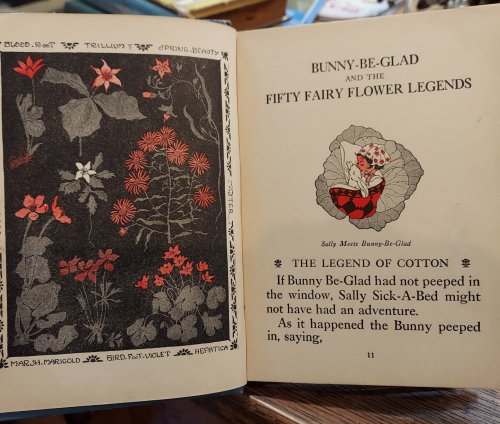 Bunny-Be-Glad and the Fifty Fairy Flower Legends