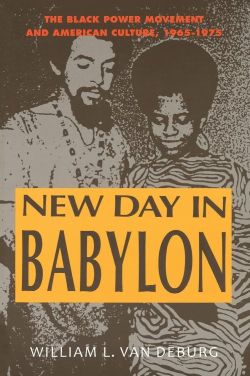 New Day in Babylon: The Black Power Movement and American Culture, 1965-1975