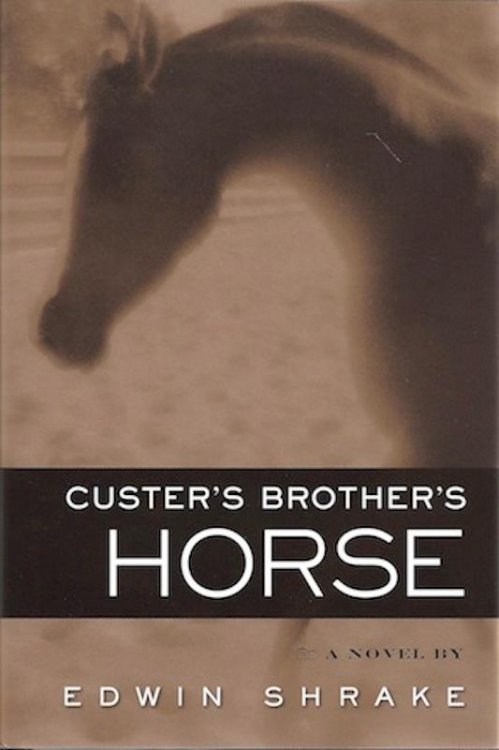 Custer's Brother's Horse