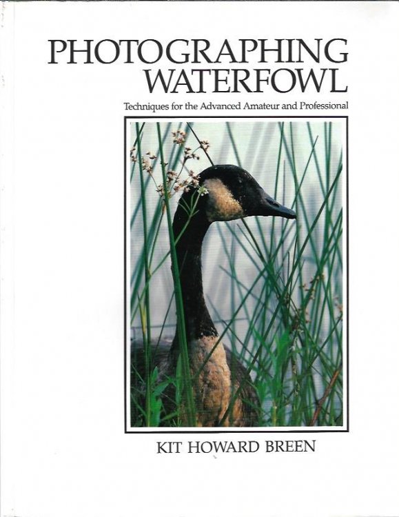 Photographing Waterfowl: Techniques for the Advanced Amateur and Professional