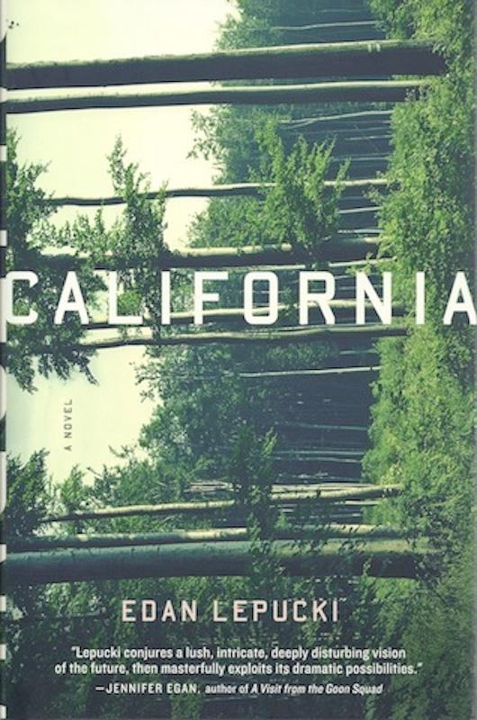 California: A Novel