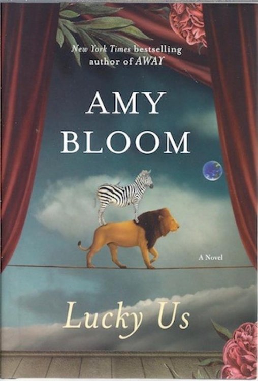 Lucky Us: A Novel