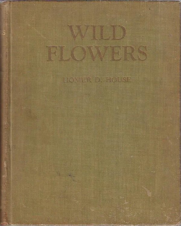 Wild Flowers