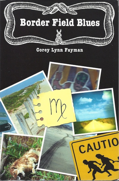 Border Field Blues: A Rolly Waters Mystery