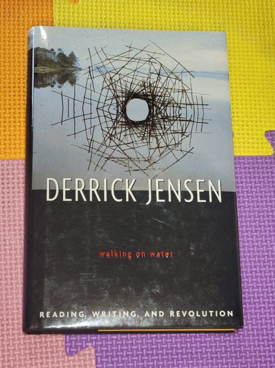Walking on Water: Reading, Writing, and Revolution