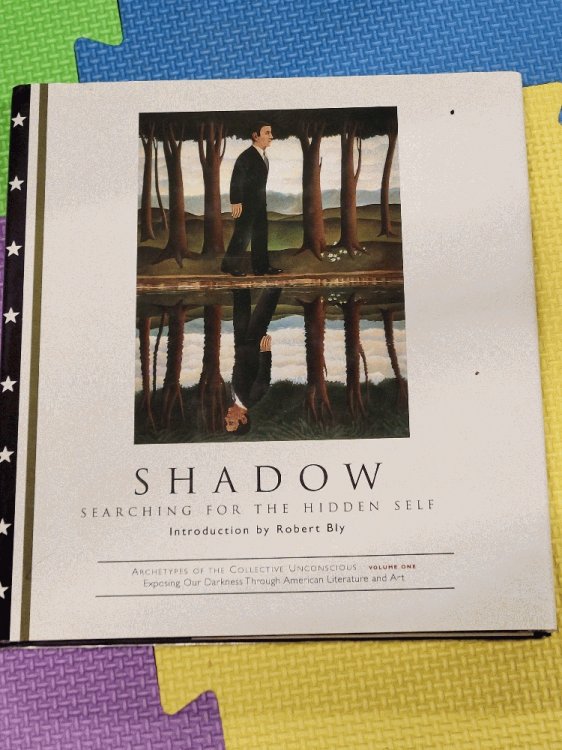 Shadow: Searching for the Hidden Self (Archetypes of the Collective Unconscious, Vol. 1)