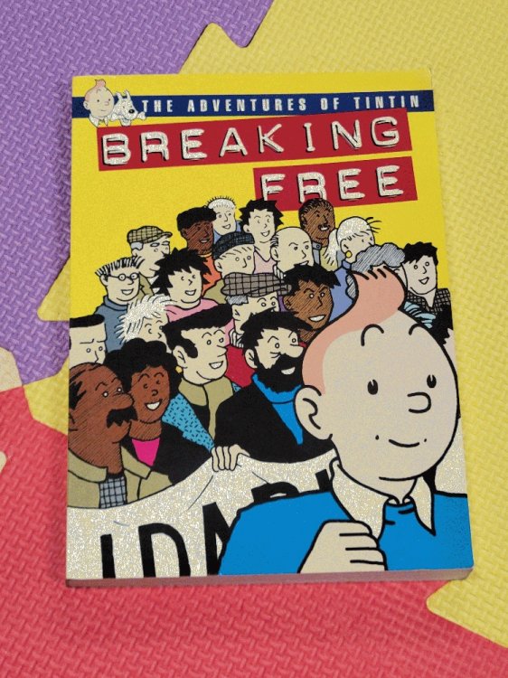 Breaking Free: The Adventures Of TinTin