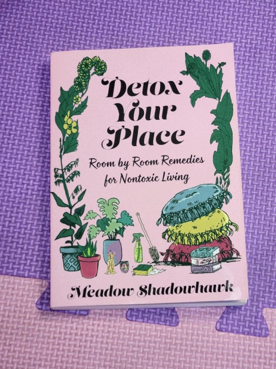 Detox Your Place: Room by Room Remedies for Nontoxic Living (Good Life)
