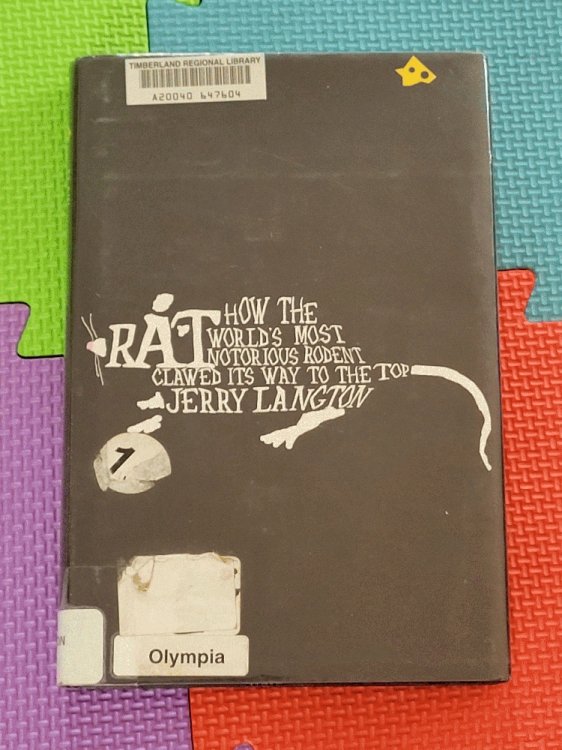 Rat: How the World's Most Notorious Rodent Clawed Its Way to the Top