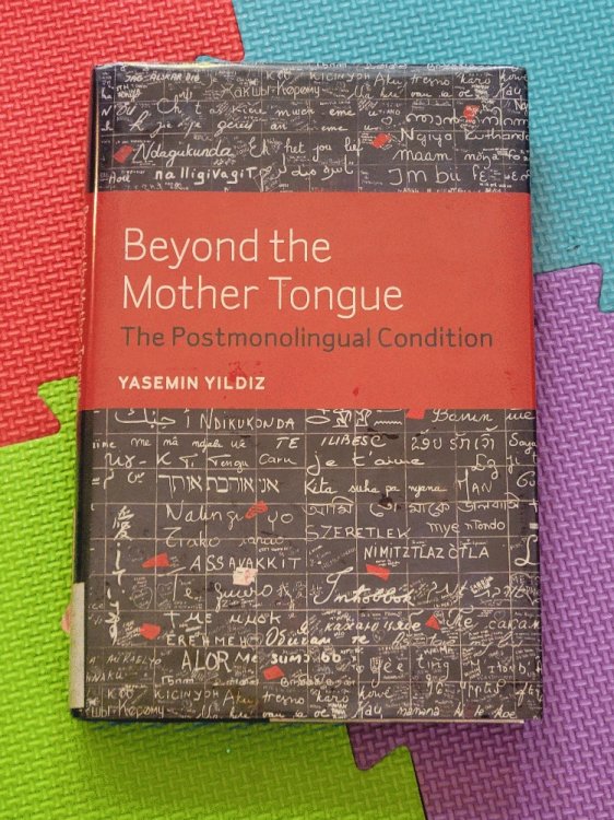 Beyond the Mother Tongue: The Postmonolingual Condition