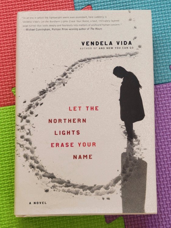 Let the Northern Lights Erase Your Name: A Novel