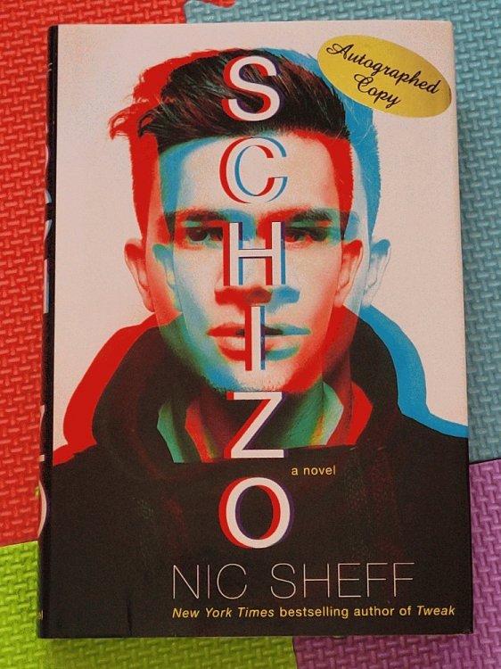 Schizo: A novel
