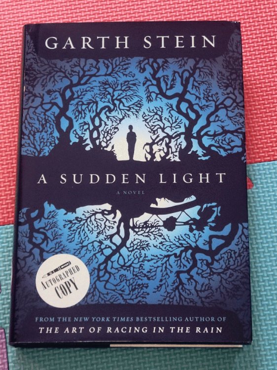 A Sudden Light: A Novel