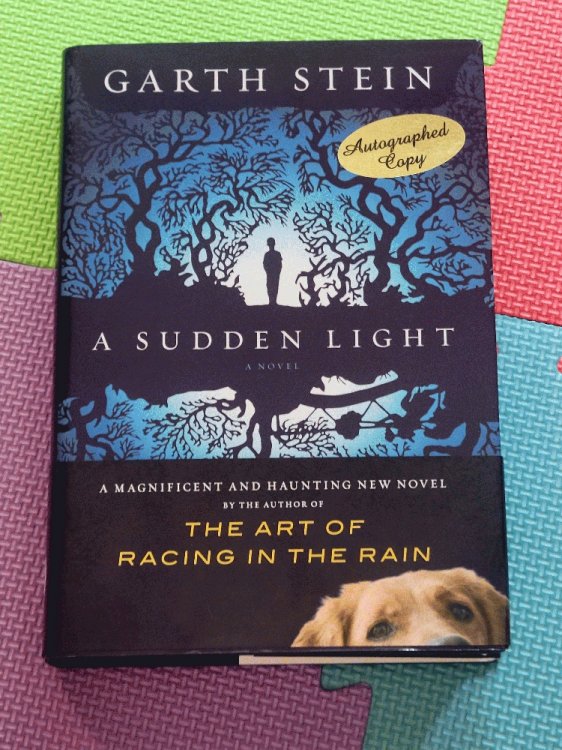 A Sudden Light: A Novel