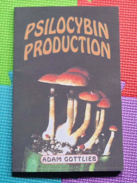Psilocybin Production