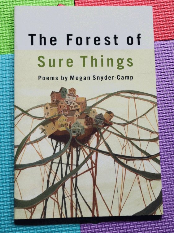The Forest of Sure Things