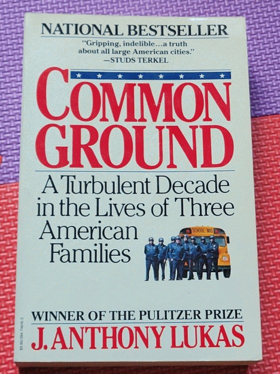 Common Ground: A Turbulent Decade in the Lives of Three American Families