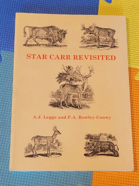 Star Carr Revisited