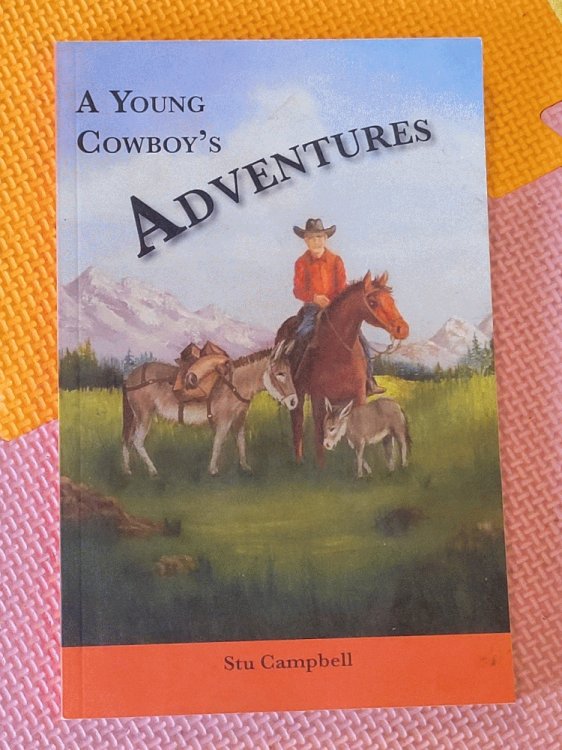 A Young Cowboy's Adventures
