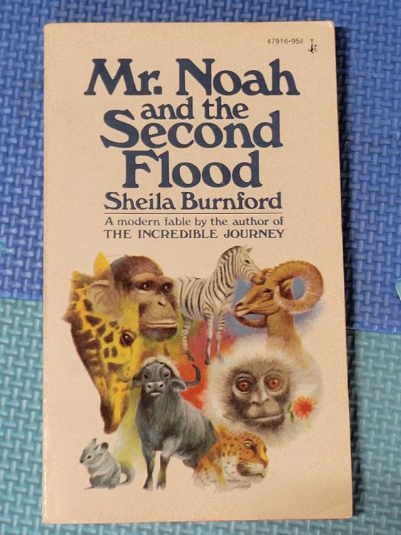 Mr. Noah and the Second Flood