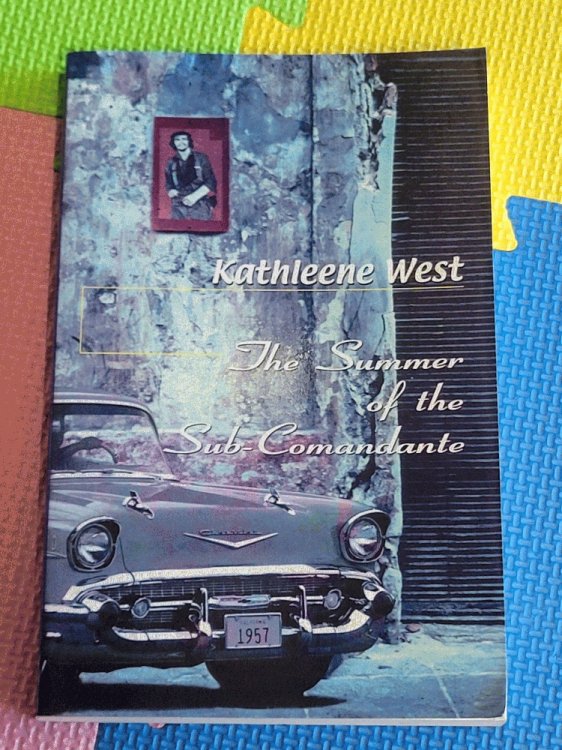 The Summer of the Sub-Comandante